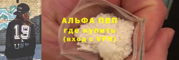 индика Саяногорск