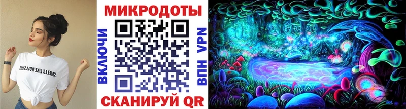 блэк спрут зеркало  Дудинка  Псилоцибиновые грибы Cubensis 